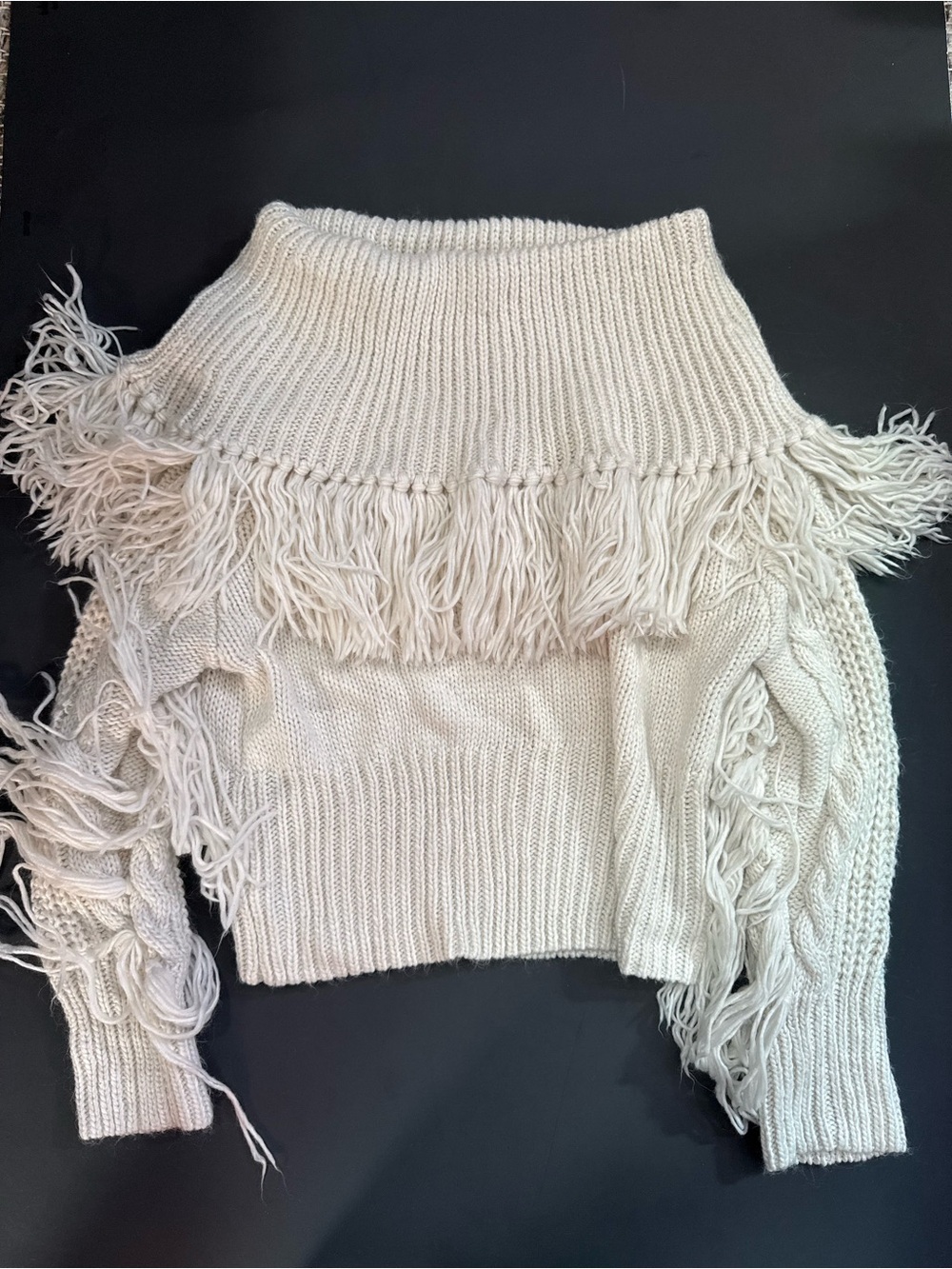 Willow Ivory Fringe Turtleneck Sweater